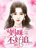 六宝当道：妈咪不好追沈潇潇顾庭霄