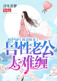 老公在上娇妻枕边欢完整版