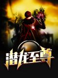 潜龙至尊陈庆之苏晚盈