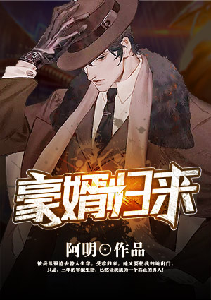 豪婿归来