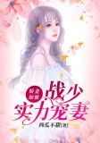 娇妻如蜜:战少实力宠妻 小说