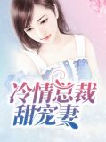 冷情总裁甜宠妻沈奕辰