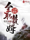 万界最强全职赘婿无