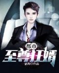 都市至尊狂婿全文阅读