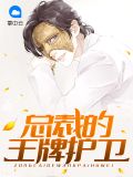 总裁的贴身保镖叶枫