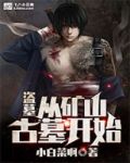 盗墓:从矿山古墓开始txt下载
