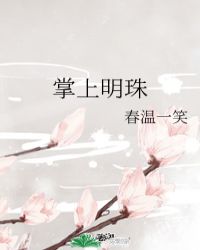 掌上明珠家居全屋定制是几线品牌