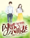 厉少的闪婚小萌妻苏锦七厉璟寒