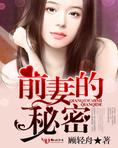 总裁前妻的秘密