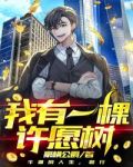 我有一棵许愿树 小说