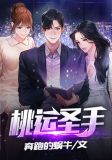 桃运圣手林凡百度百科