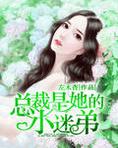 总裁是我的