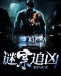 谜案追凶第二季