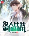 没人比我更懂强化无弹窗