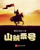 山贼票号小说