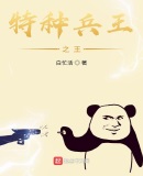 特种兵王之王絮