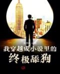 我穿越到小说里