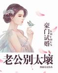 豪门试婚老公太给力