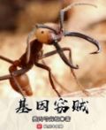基因窃贼 小说