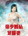 帝少的私宠暖妻完整版