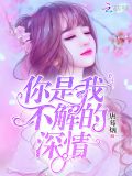 你是我不解的深情 小说
