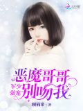 帝少强宠恶魔少爷别吻我