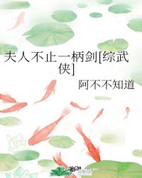 夫人不止一柄剑[综武侠]