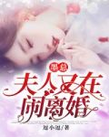 言情小说墨总,夫人又在闹离婚