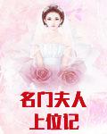 名门夫人上位记小说