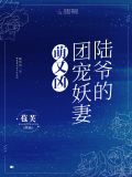 陆爷家的团宠夫人又掉马