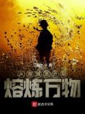 从海贼开始熔炼万物TXT