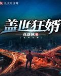 盖世狂婿沈巍