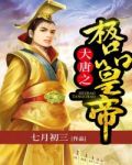 大唐之极品皇帝TXT