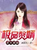 重生极品赘女婿