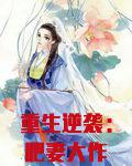 重生逆袭肥妻大作战txt下载书包网