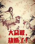 大总裁劫婚了全文