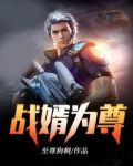 护国龙帅叶不凡徐小碗