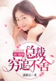 豪门隐婚:总裁穷追不舍漫画