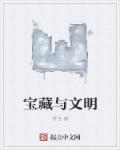 宝藏与文明完结TXT下载
