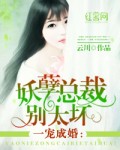 妖孽总裁太难缠