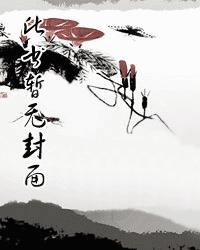 无敌相师境界划分