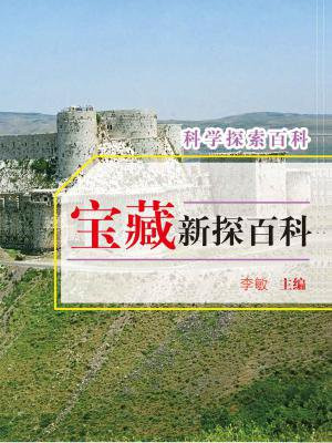 宝藏新探百科