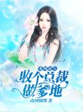 龙凤双宝偶遇总裁电视剧免费观看