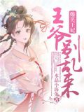 爆笑王妃,腹黑王爷独家宠