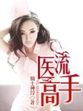 医流高手小说