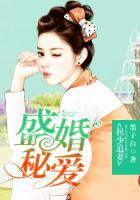 权少追妻,盛婚秘爱 墨子白 小说