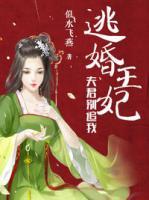 逃婚王妃夫君别追我评论