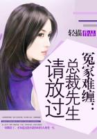 冤家难缠总裁先生请放过大结局
