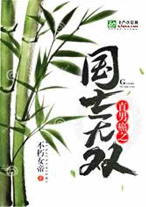直男癌之国士无双
