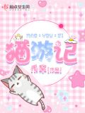 猫游记挖矿
